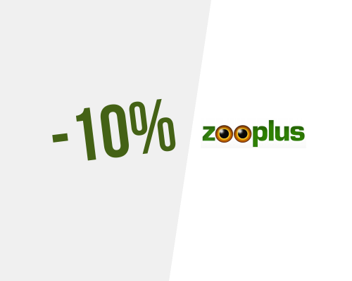 Centenas de brinquedos, todos com 10% de desconto na Zooplus